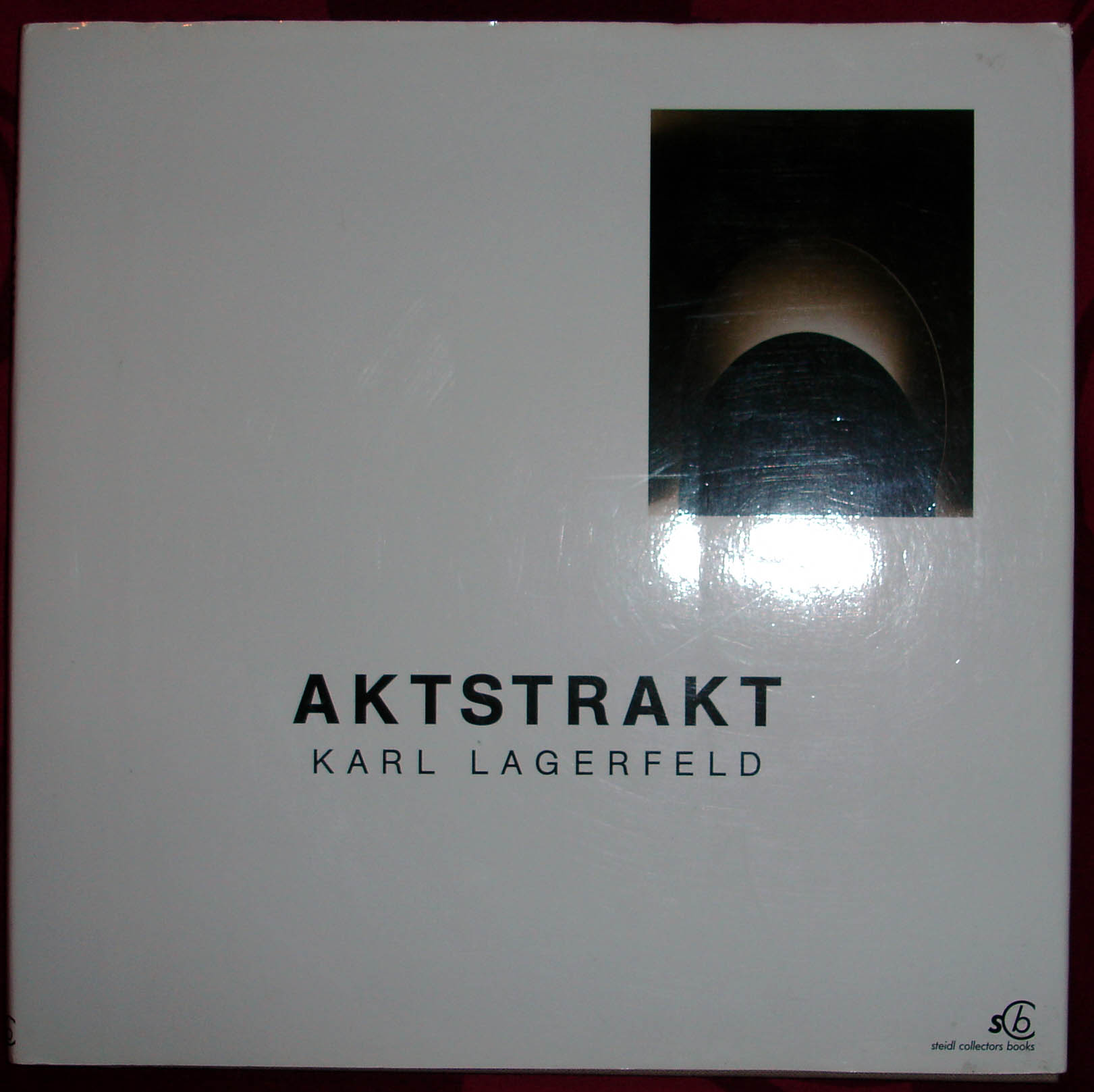 a aktstrakt karl lagerfeld photo.jpg (152283 octets)