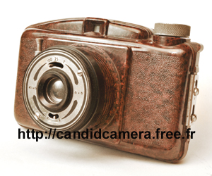 FIT brown front 07 LR.jpg (84284 octets)