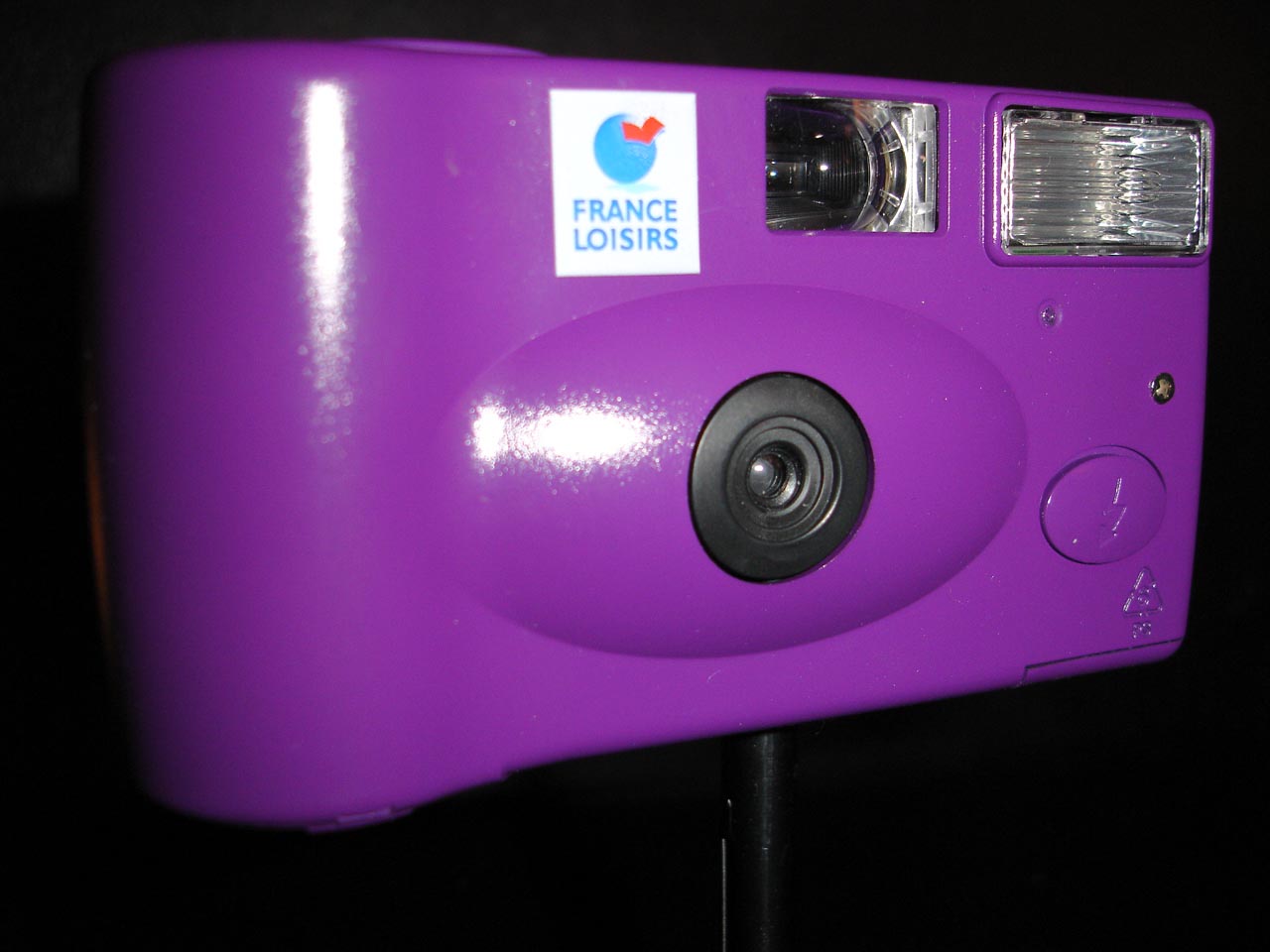 disp france loisirs violet.jpg (95992 octets)