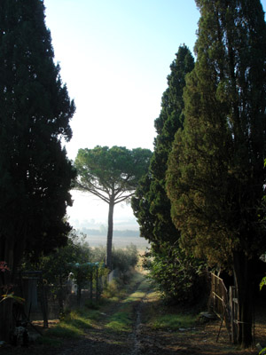 belveduto 02.jpg (47323 octets)