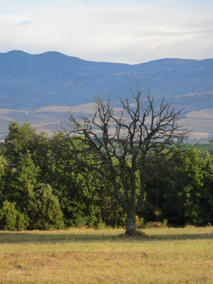 landscape .jpg (40759 octets)