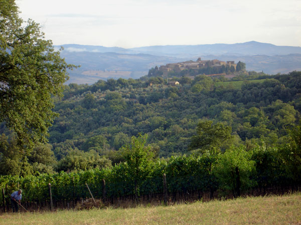 paysage.jpg (90175 octets)