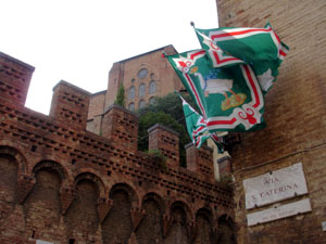 sienna 3.jpg (29533 octets)