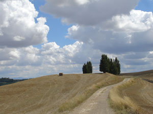 val d'orcia.jpg (20717 octets)